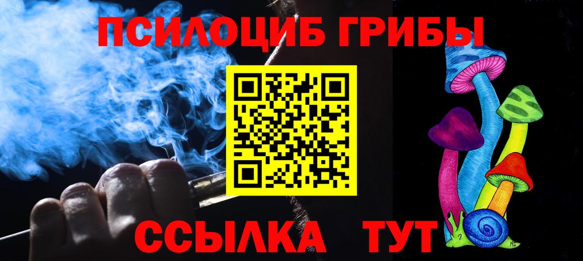 Псилоцибиновые грибы Cubensis  Вход с VPN  Псилоцибиновые грибы Psilocybe  дарнет шоп  Гусиноозёрск 