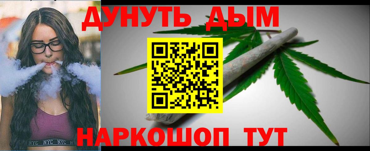 Бошки Шишки сатива Гусиноозёрск